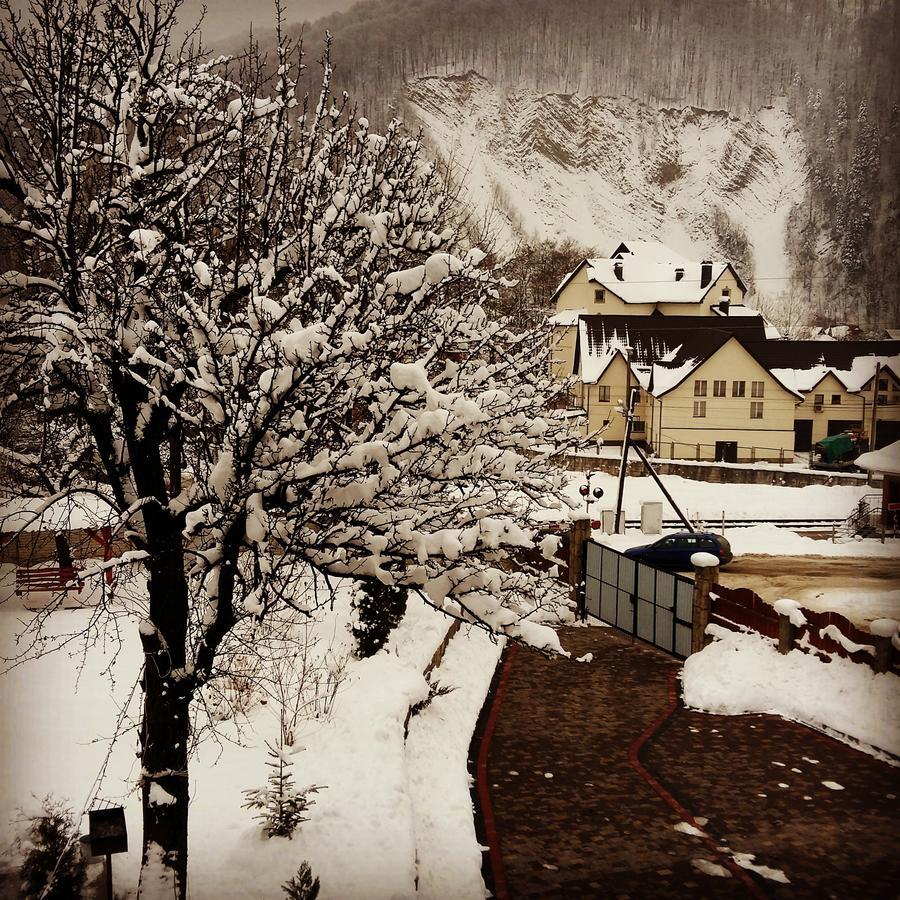 Karpatska Mria Hotel Яремче Екстериор снимка