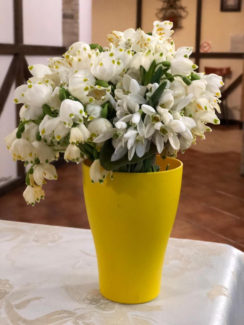 Karpatska Mria Hotel Яремче Екстериор снимка